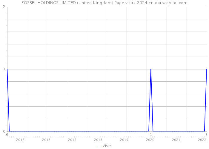 FOSBEL HOLDINGS LIMITED (United Kingdom) Page visits 2024 