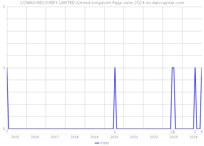 COWAN RECOVERY LIMITED (United Kingdom) Page visits 2024 
