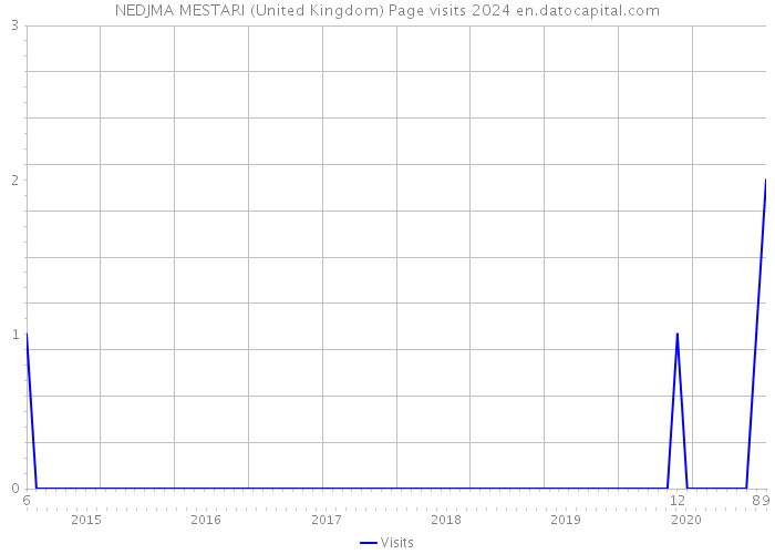 NEDJMA MESTARI (United Kingdom) Page visits 2024 