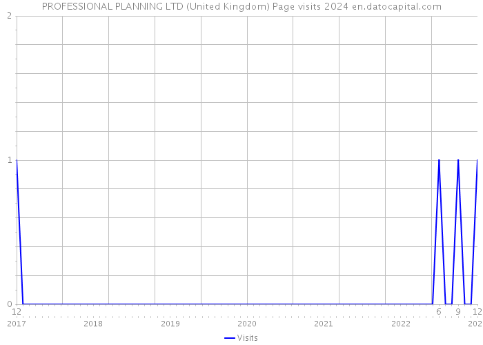 PROFESSIONAL PLANNING LTD (United Kingdom) Page visits 2024 
