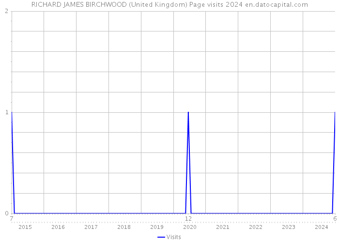RICHARD JAMES BIRCHWOOD (United Kingdom) Page visits 2024 