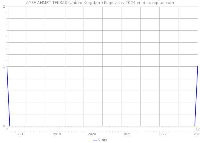 AYSE AHMET TEKBAS (United Kingdom) Page visits 2024 