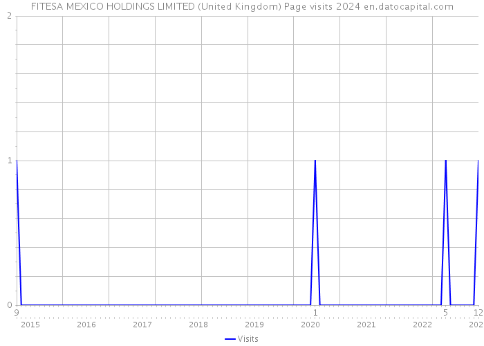 FITESA MEXICO HOLDINGS LIMITED (United Kingdom) Page visits 2024 