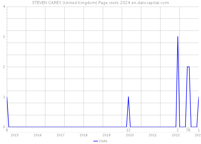 STEVEN CAREY (United Kingdom) Page visits 2024 