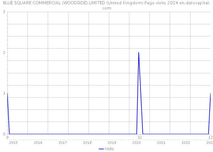 BLUE SQUARE COMMERCIAL (WOODSIDE) LIMITED (United Kingdom) Page visits 2024 
