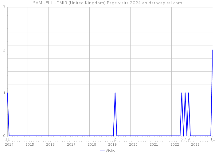 SAMUEL LUDMIR (United Kingdom) Page visits 2024 