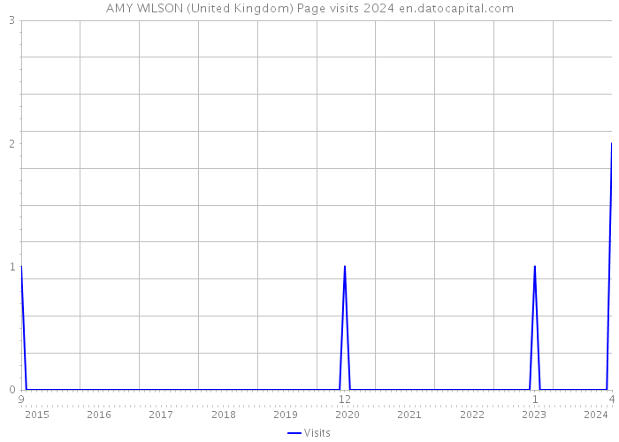 AMY WILSON (United Kingdom) Page visits 2024 