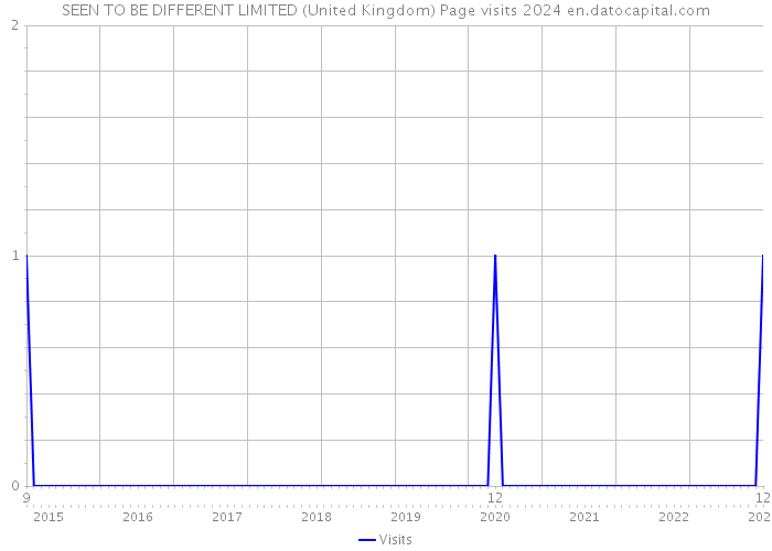 SEEN TO BE DIFFERENT LIMITED (United Kingdom) Page visits 2024 