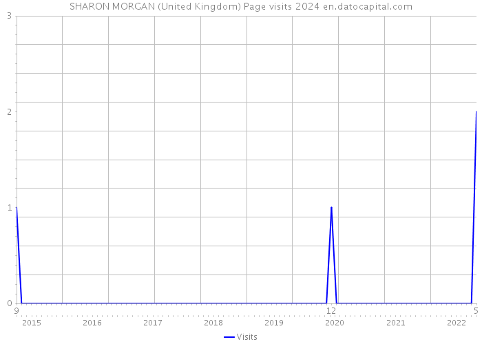 SHARON MORGAN (United Kingdom) Page visits 2024 