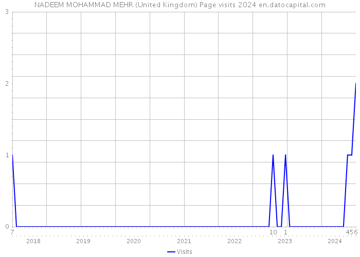 NADEEM MOHAMMAD MEHR (United Kingdom) Page visits 2024 