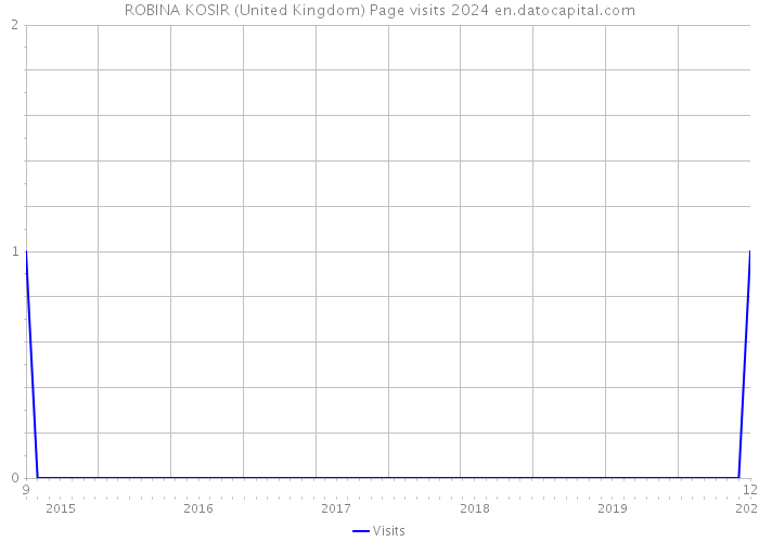 ROBINA KOSIR (United Kingdom) Page visits 2024 