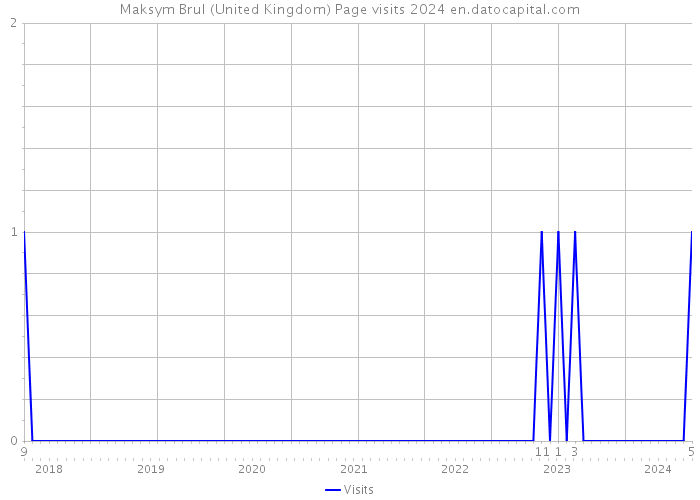 Maksym Brul (United Kingdom) Page visits 2024 