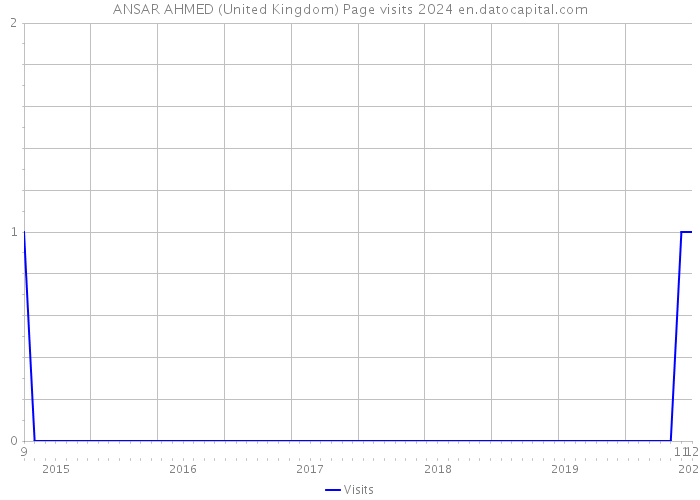 ANSAR AHMED (United Kingdom) Page visits 2024 