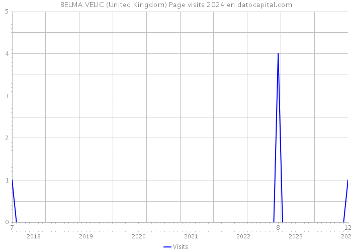 BELMA VELIC (United Kingdom) Page visits 2024 