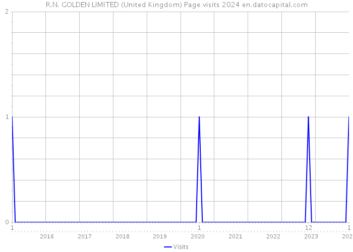 R.N. GOLDEN LIMITED (United Kingdom) Page visits 2024 