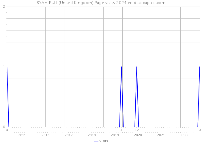 SYAM PULI (United Kingdom) Page visits 2024 