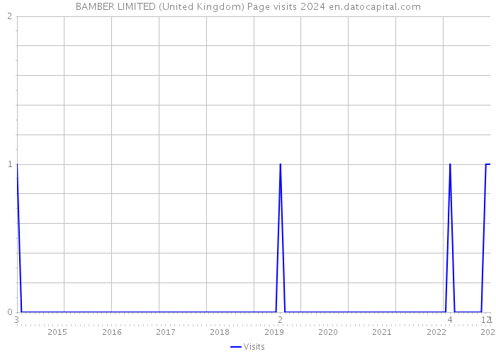 BAMBER LIMITED (United Kingdom) Page visits 2024 