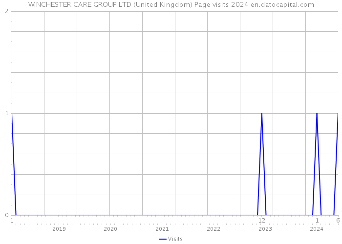 WINCHESTER CARE GROUP LTD (United Kingdom) Page visits 2024 