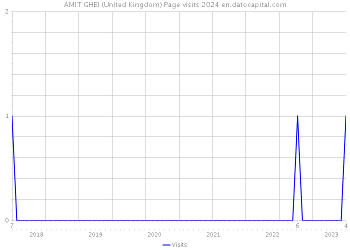 AMIT GHEI (United Kingdom) Page visits 2024 