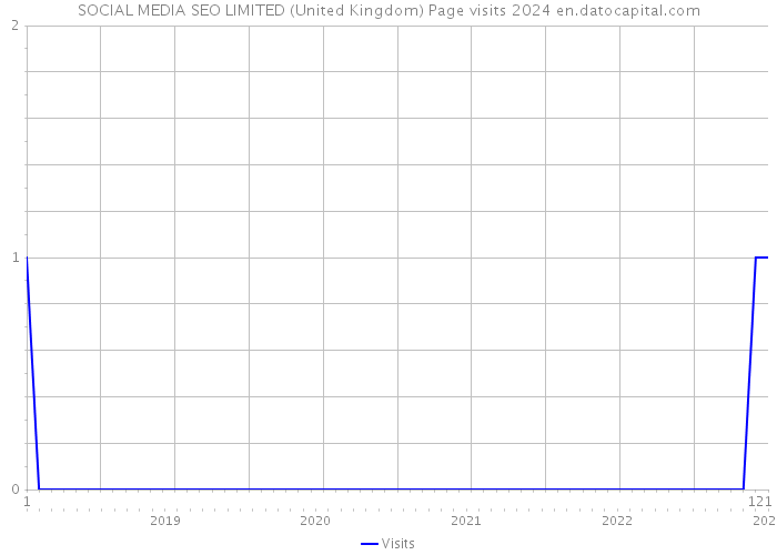 SOCIAL MEDIA SEO LIMITED (United Kingdom) Page visits 2024 