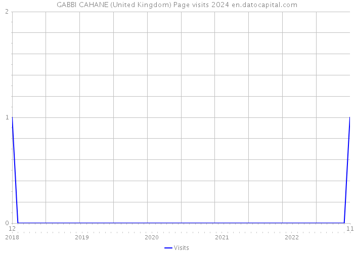 GABBI CAHANE (United Kingdom) Page visits 2024 