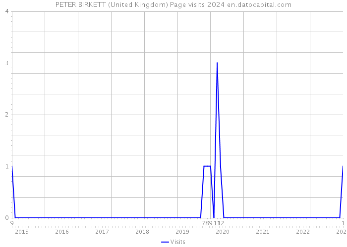 PETER BIRKETT (United Kingdom) Page visits 2024 