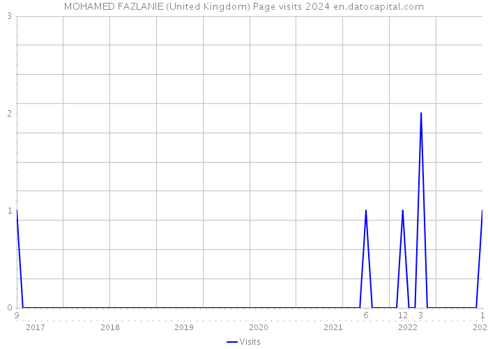 MOHAMED FAZLANIE (United Kingdom) Page visits 2024 