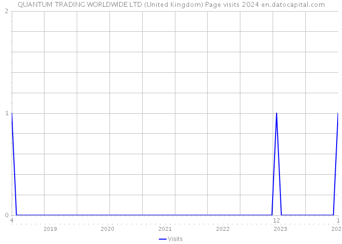 QUANTUM TRADING WORLDWIDE LTD (United Kingdom) Page visits 2024 