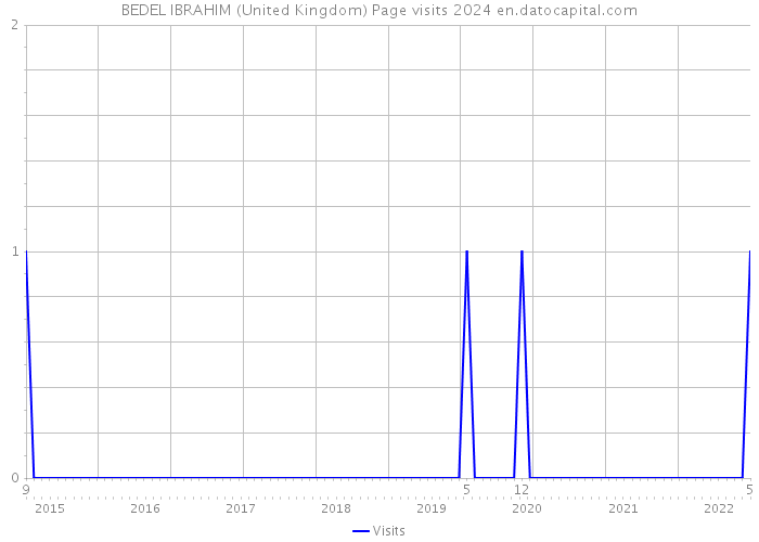 BEDEL IBRAHIM (United Kingdom) Page visits 2024 