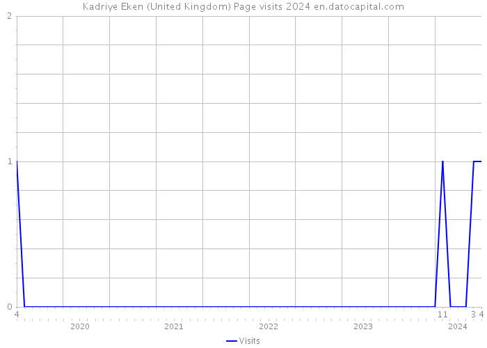 Kadriye Eken (United Kingdom) Page visits 2024 