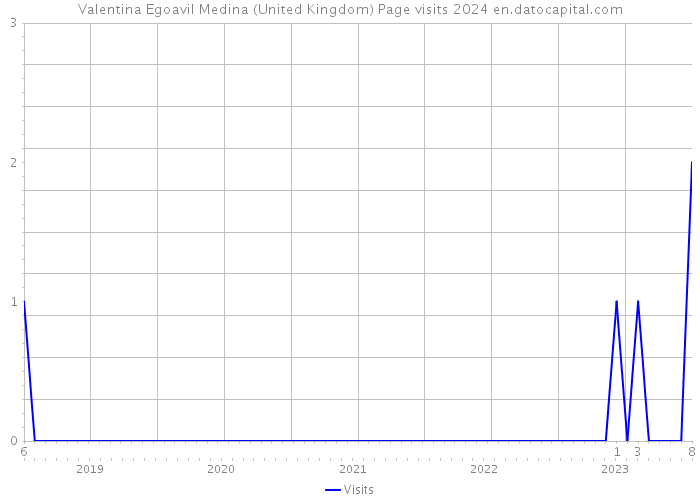 Valentina Egoavil Medina (United Kingdom) Page visits 2024 