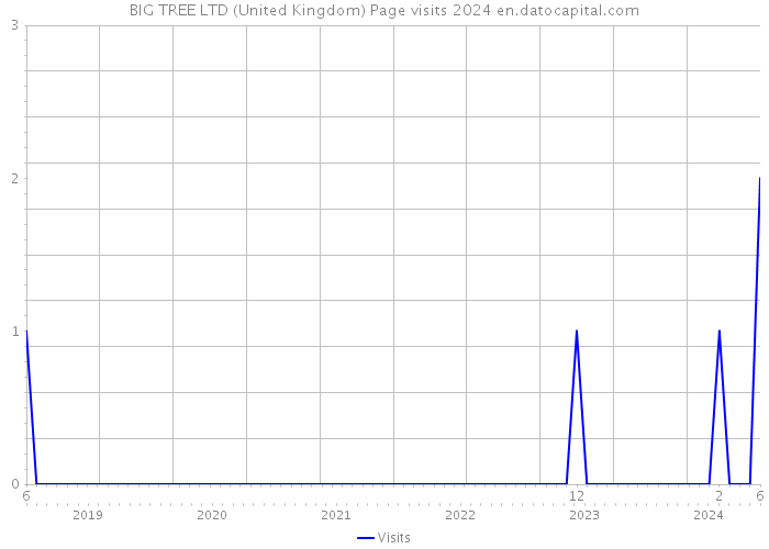 BIG TREE LTD (United Kingdom) Page visits 2024 
