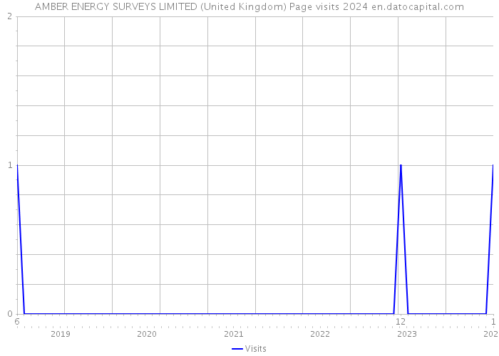 AMBER ENERGY SURVEYS LIMITED (United Kingdom) Page visits 2024 