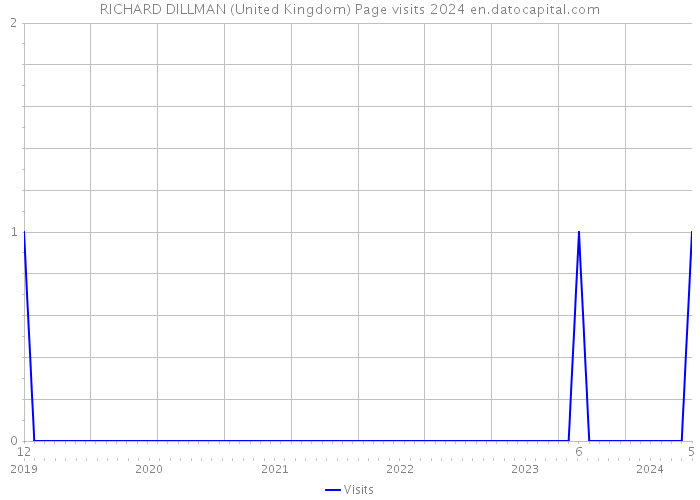 RICHARD DILLMAN (United Kingdom) Page visits 2024 