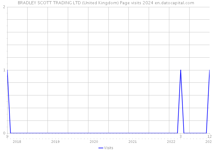 BRADLEY SCOTT TRADING LTD (United Kingdom) Page visits 2024 