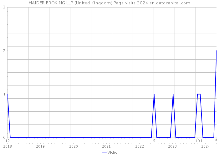 HAIDER BROKING LLP (United Kingdom) Page visits 2024 