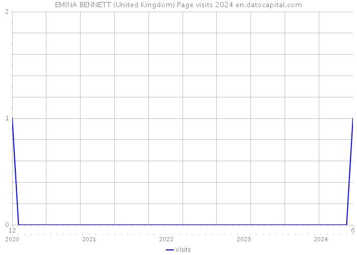 EMINA BENNETT (United Kingdom) Page visits 2024 