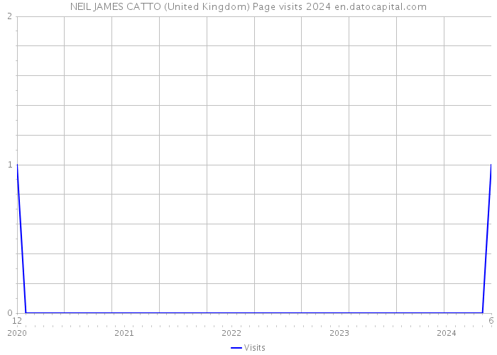 NEIL JAMES CATTO (United Kingdom) Page visits 2024 