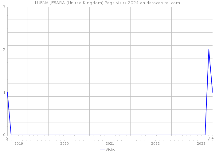 LUBNA JEBARA (United Kingdom) Page visits 2024 