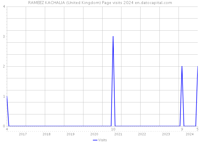 RAMEEZ KACHALIA (United Kingdom) Page visits 2024 