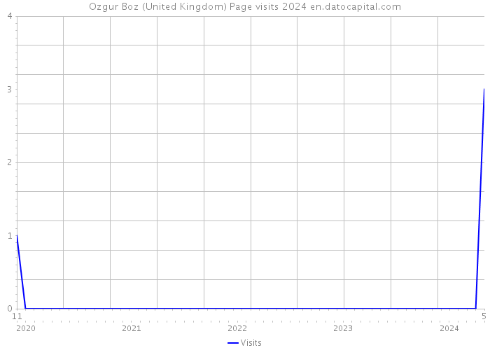 Ozgur Boz (United Kingdom) Page visits 2024 