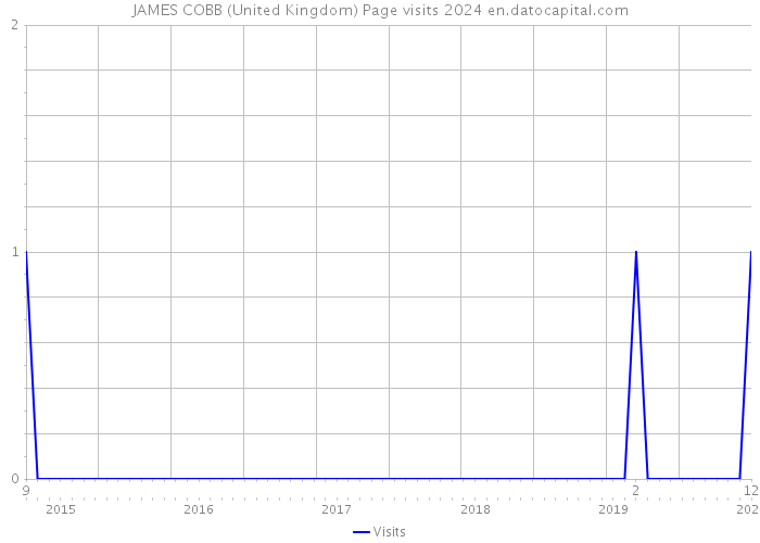JAMES COBB (United Kingdom) Page visits 2024 