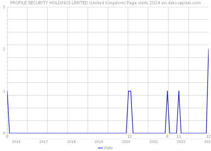 PROFILE SECURITY HOLDINGS LIMITED (United Kingdom) Page visits 2024 