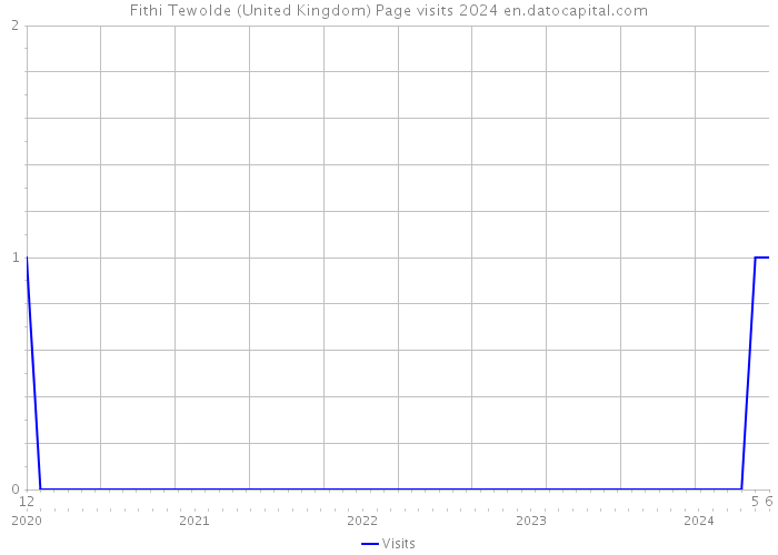 Fithi Tewolde (United Kingdom) Page visits 2024 