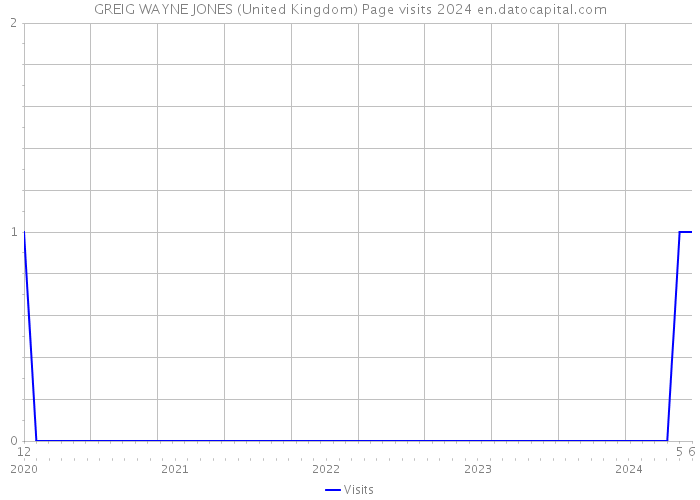GREIG WAYNE JONES (United Kingdom) Page visits 2024 