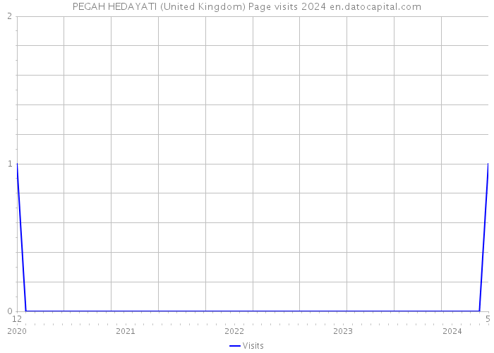 PEGAH HEDAYATI (United Kingdom) Page visits 2024 