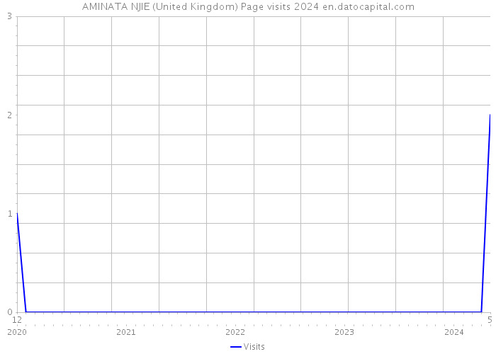 AMINATA NJIE (United Kingdom) Page visits 2024 