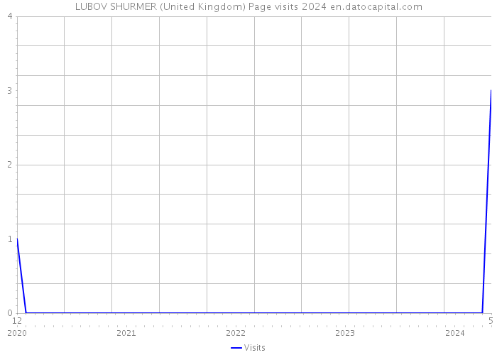 LUBOV SHURMER (United Kingdom) Page visits 2024 