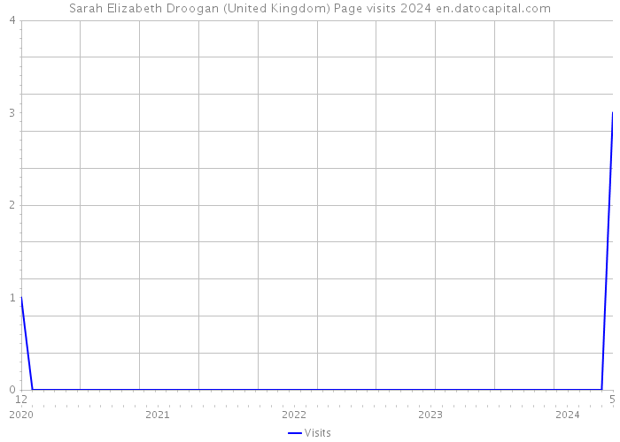 Sarah Elizabeth Droogan (United Kingdom) Page visits 2024 