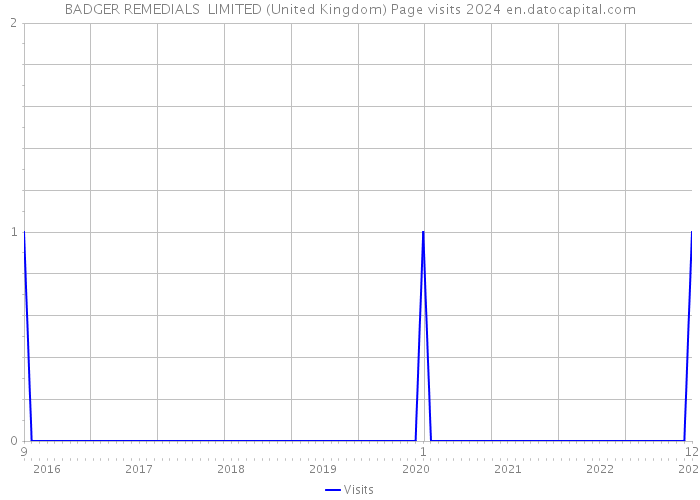 BADGER REMEDIALS LIMITED (United Kingdom) Page visits 2024 